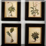 A07. Framed botanical prints. 